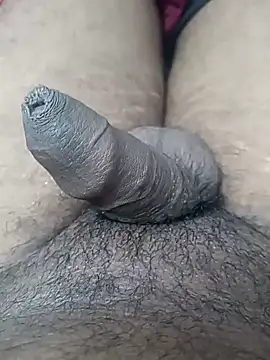 sat 1234 online show from 01.10.25