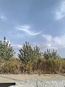 cuplubijoanna online show from 09.20.25