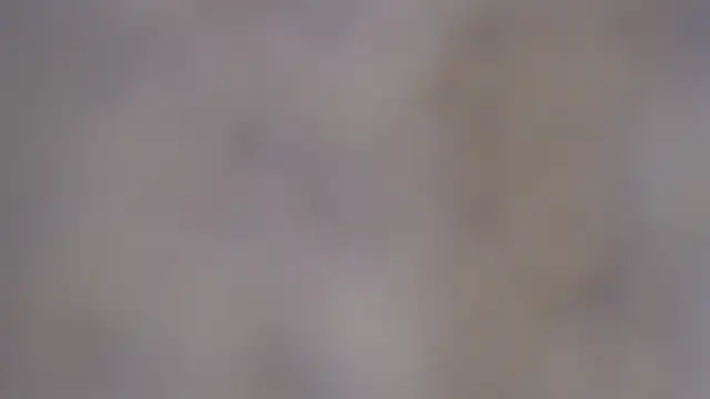 paiper halliwey online show from 02.08.25