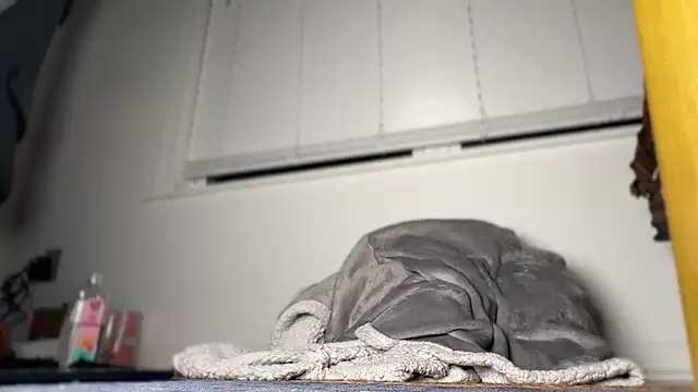 Theonlydreamybull online show from 04.20.26