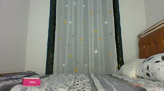 Snapshot of Toxique_ chatting on 12.27.24 Toxique online show from 12.27.24