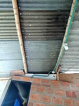 Snapshot of Janle_19c chatting on 12.06.24 Janle 19c online show from 12.06.24