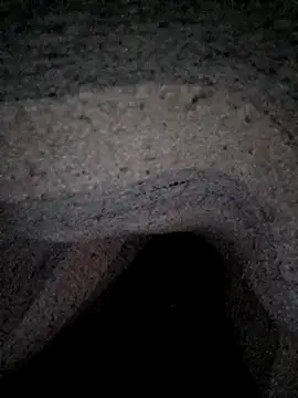 Snapshot of Janle_19c chatting on 12.26.24 Janle 19c online show from 12.26.24