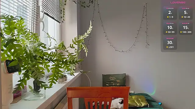 monlight  dana online show from 01.27.25