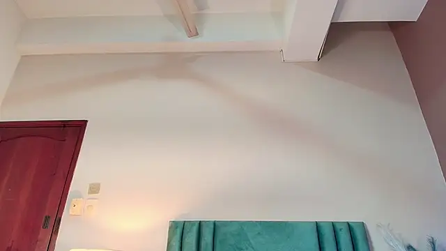 Snapshot of AlissaNix chatting on 11.20.25 AlissaNix online show from 11.20.25