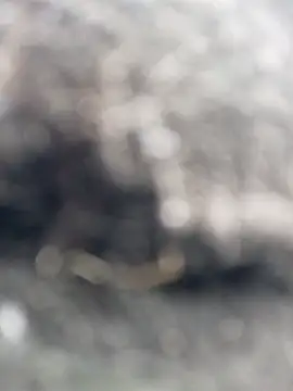 Snapshot of _andrea30 chatting on 10.30.25 andrea30 online show from 10.30.25