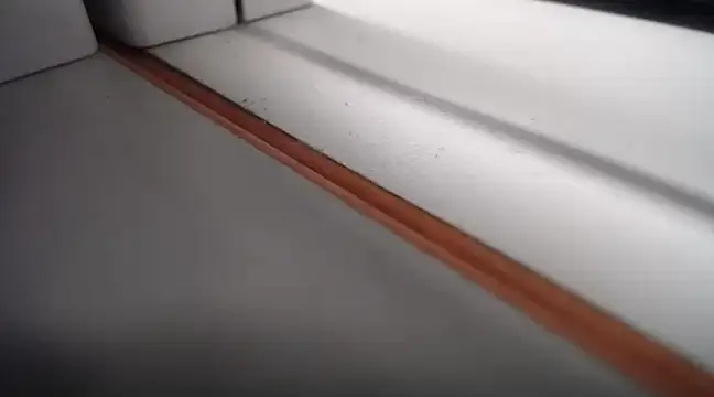 Lovensetest online show from 02.24.25