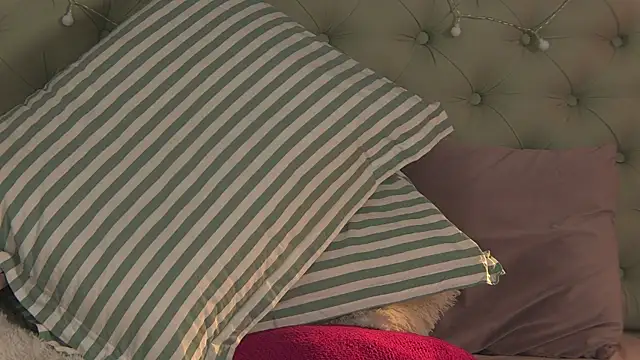 AlicePirs online show from 02.06.25