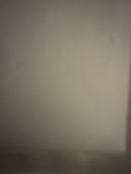 orient zob online show from 01.07.26