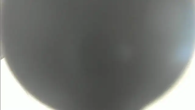 linasantoss online show from 01.26.25