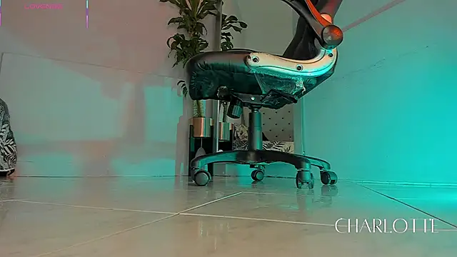 charlotte  grey online show from 11.20.25