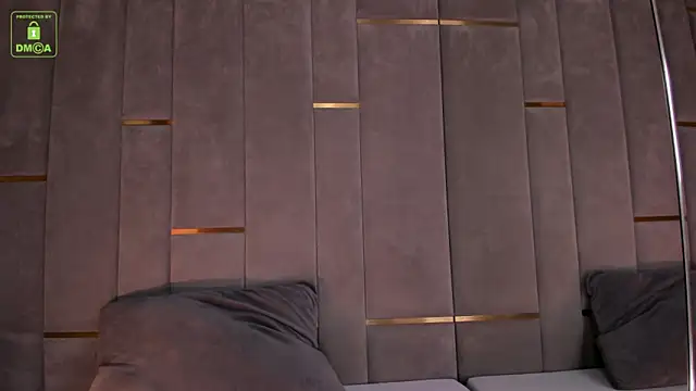 Snapshot of eva_lim chatting on 12.17.24 eva lim online show from 12.17.24