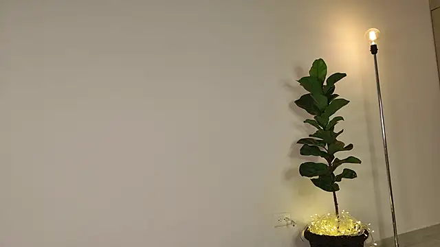 lady ni  online show from 12.17.25