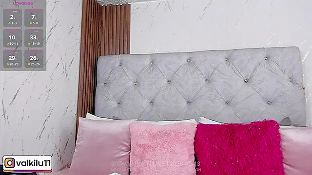 Snapshot of valkilu11 chatting on 02.13.26 valkilu11 online show from 02.13.26