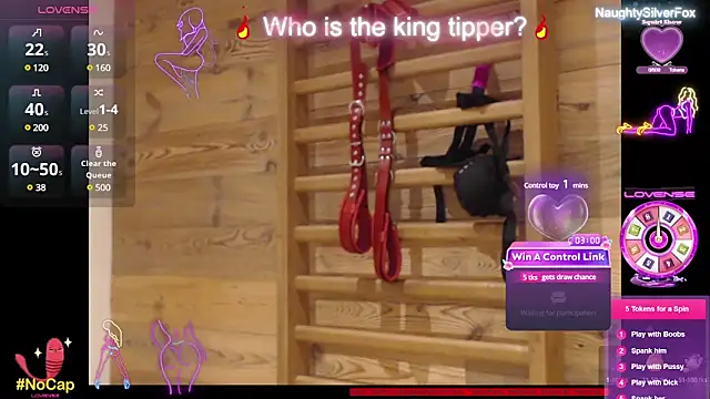 Snapshot of NaughtySilverFox chatting on 02.10.25 NaughtySilverFox online show from 02.10.25