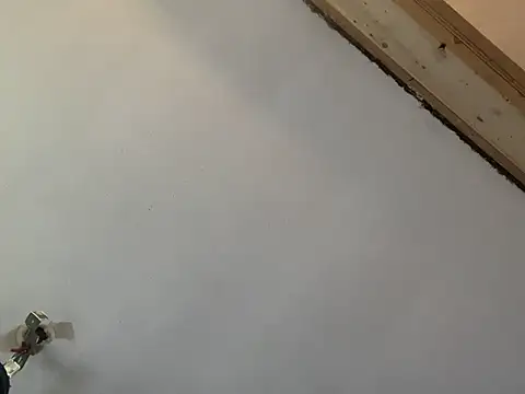 Brando2585 online show from 03.07.26