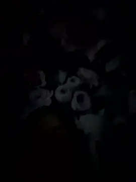 Snapshot of palorid chatting on 01.14.26 palorid online show from 01.14.26