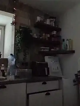 Snapshot of FENIX_ZLA chatting on 11.27.25 FENIX ZLA online show from 11.27.25