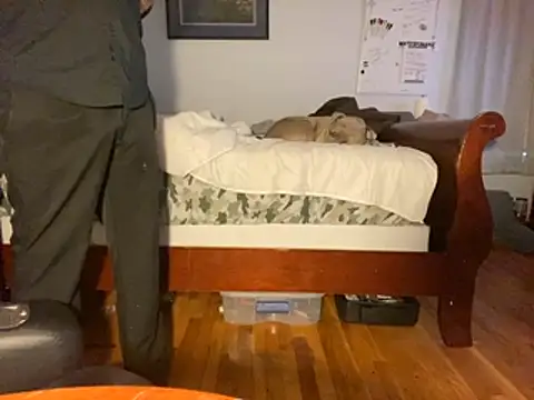 flexingplexico online show from 01.14.26