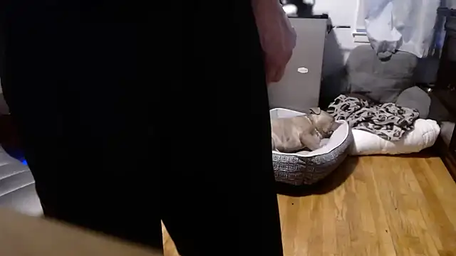 flexingplexico online show from 02.16.26