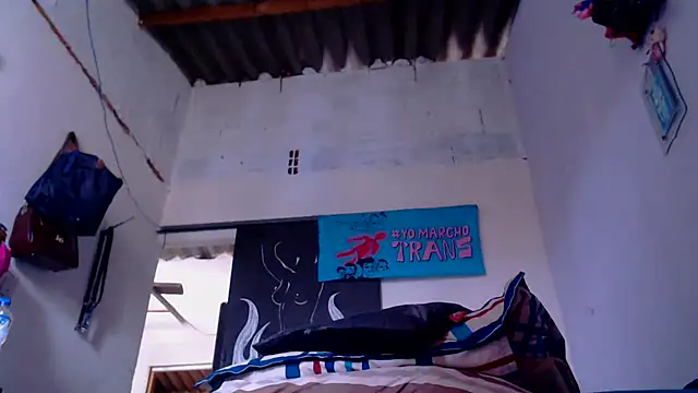 Zafiro subversiva online show from 01.08.26