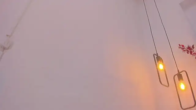 Snapshot of penelope_handaos chatting on 12.28.24 penelope handaos online show from 12.28.24