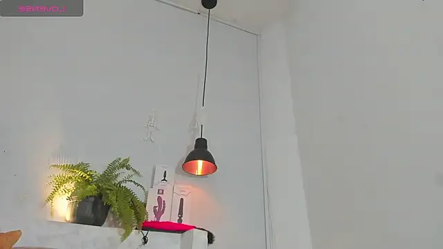 Snapshot of penelope_handaos chatting on 10.25.25 penelope handaos online show from 10.25.25