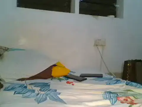 sherry anne online show from 02.06.25