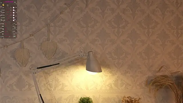 happywhores online show from 01.25.25