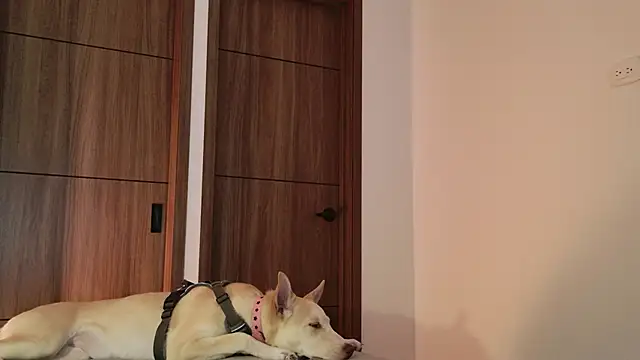 Snapshot of Hot_Couple666 chatting on 09.09.25 Hot Couple666 online show from 09.09.25