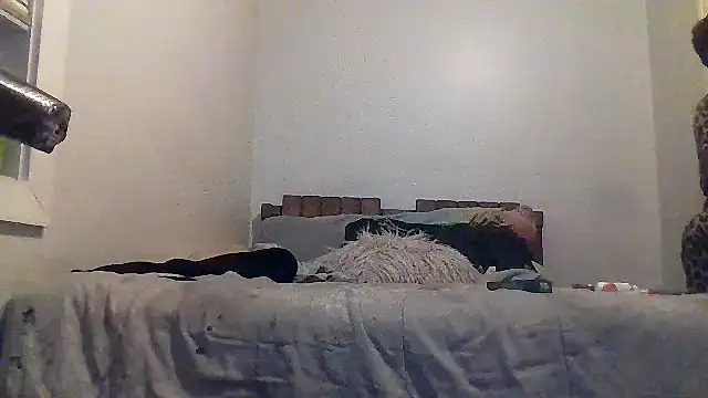 AllLeggs online show from 03.20.26