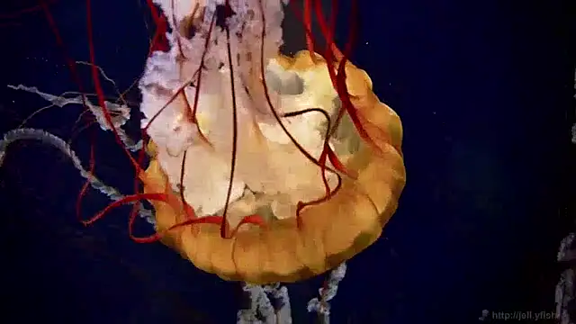 Snapshot of streamy_test13 chatting on 12.05.24 streamy test13 online show from 12.05.24