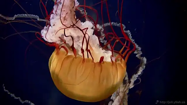 Snapshot of streamy_test13 chatting on 02.03.25 streamy test13 online show from 02.03.25