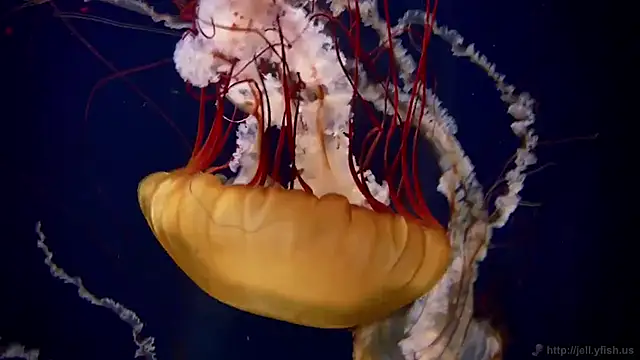 Snapshot of streamy_test13 chatting on 02.04.25 streamy test13 online show from 02.04.25