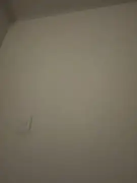 Amber Rush  online show from 02.03.26