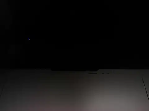 Malandralle online show from 11.19.25