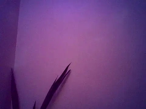 Malandralle online show from 11.25.25