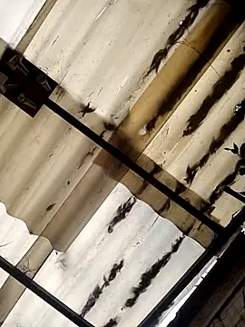 weedmanhot28 online show from 11.02.25