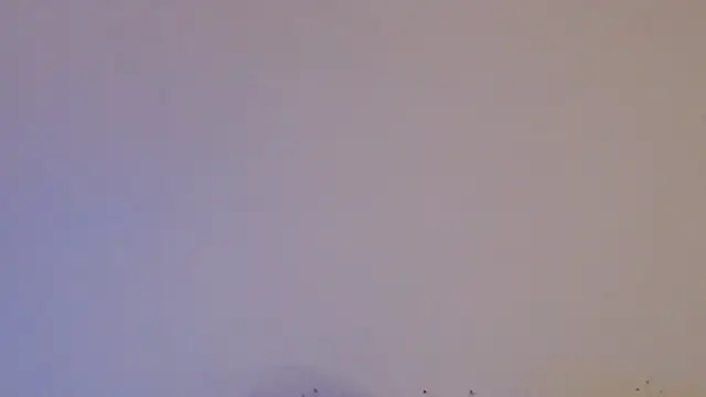 daiki sx online show from 01.24.25