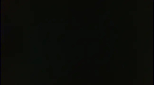 Geisha Seniers online show from 01.14.25