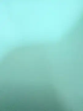 Snapshot of ZTahya chatting on 12.14.25 ZTahya online show from 12.14.25