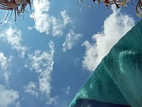 natally ross21 online show from 12.08.24