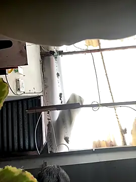 Snapshot of luna_asss chatting on 10.25.25 luna asss online show from 10.25.25