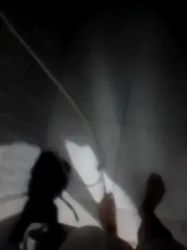 betinhodelas online show from 11.30.25