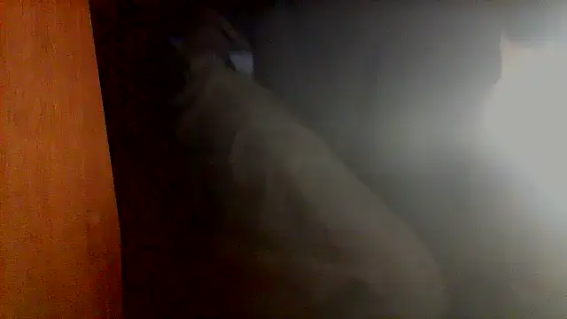 nice6incs online show from 11.05.25