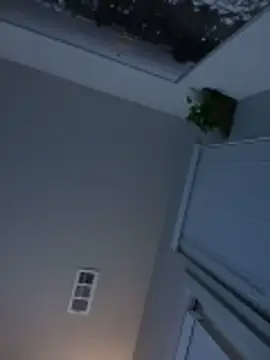 goldbuni online show from 11.17.25