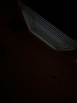 goldbuni online show from 11.29.25