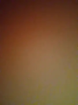 Snapshot of mendelicius chatting on 02.27.25 mendelicius online show from 02.27.25