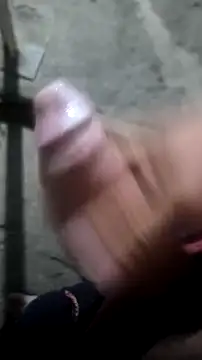 mendelicius online show from 11.14.25