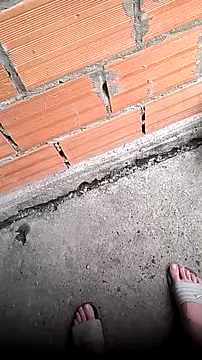 mendelicius online show from 04.11.26